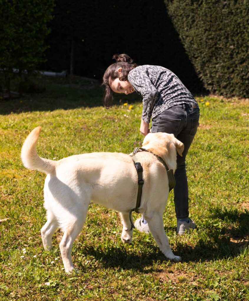 Jongere speelt met de hond op het gras
